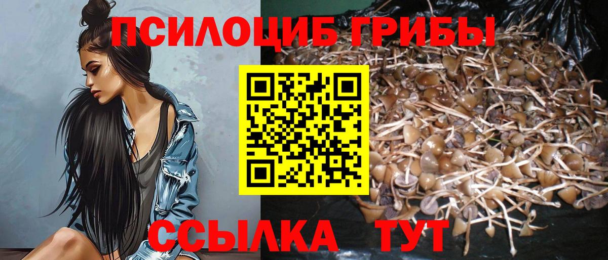 Буйнакск  Псилоцибиновые грибы прущие грибы  Галлюциногенные грибы прущие грибы  закладки  Вход с VPN 