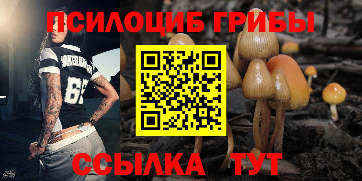Галлюциногенные грибы Cubensis Буйнакск