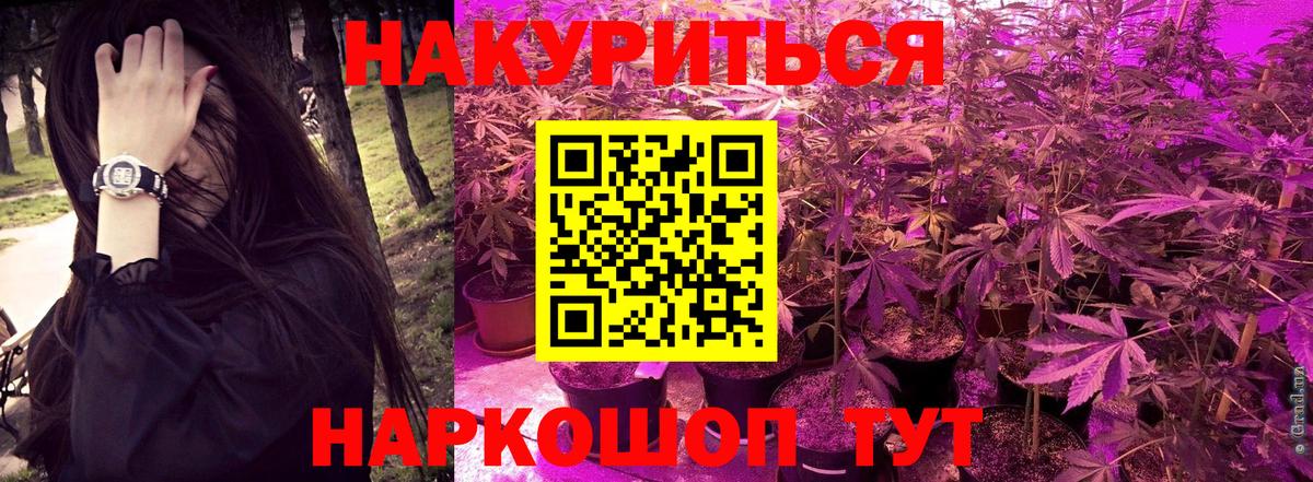 Бошки марихуана тримм  Каннабис MAZAR  Буйнакск  Канабис планчик  Вход с VPN 